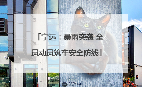 宁远：暴雨突袭 全员动员筑牢安全防线